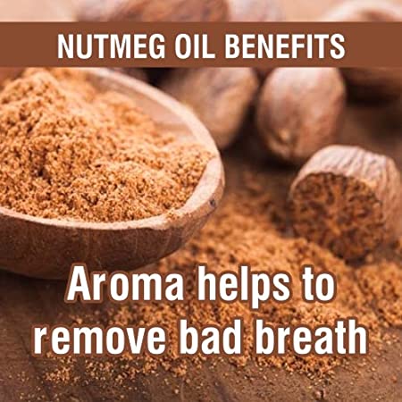 Salvia Natural Essential Oils Nutmeg Essential Oil Salvia Natural Essential Oils Nutmeg Essential Oil